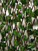 Ограждение Лист берёзы 200х75см Greengo купить в СОМ