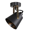 Спот потолочный ЭкономСвет 10223/1BK+FG BK купить в СОМ